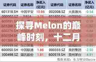 Melon巅峰时刻揭秘,十二月十日实时排名背后的故事