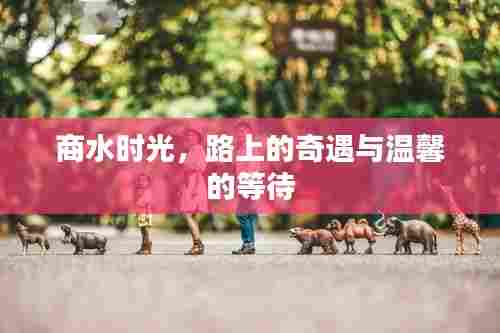商水时光,路上的奇遇与等待的温馨