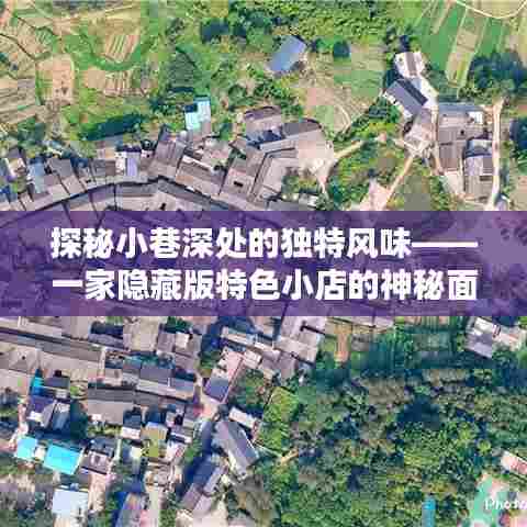 探秘小巷深处的独特风味，隐藏版特色小店的魅力之旅