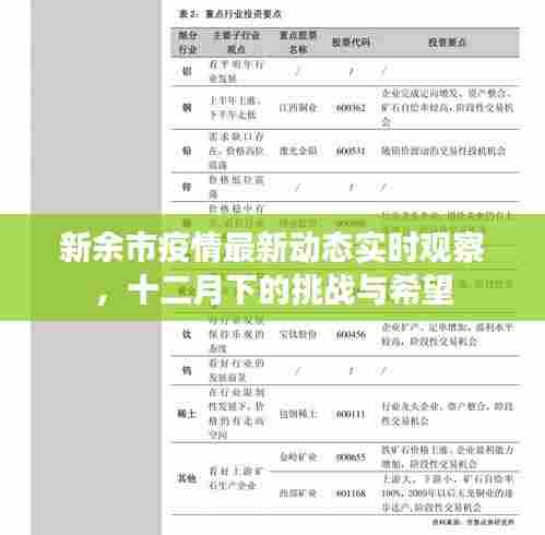 新余市疫情最新动态观察,十二月下的挑战与希望展望