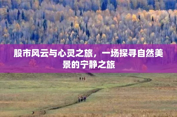 股市风云下的心灵之旅,探寻自然美景的宁静之旅