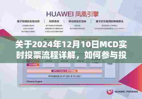 2024年MCD实时投票流程详解,参与投票指南