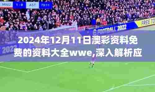 2024年12月11日澳彩资料免费的资料大全wwe,深入解析应用数据_手游版16.387