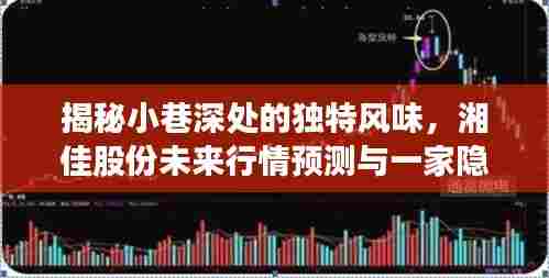 探访小巷深处的独特风味与湘佳股份未来行情预测,一家隐藏版特色小店的探秘之旅
