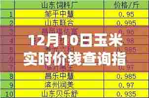 12月10日玉米实时价格查询及深度评测介绍