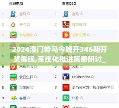 2024澳门特马今晚开346期开奖揭晓,系统化推进策略研讨_复古版10.990