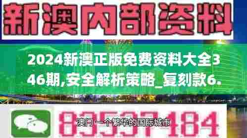 2024新澳正版免费资料大全346期,安全解析策略_复刻款6.284