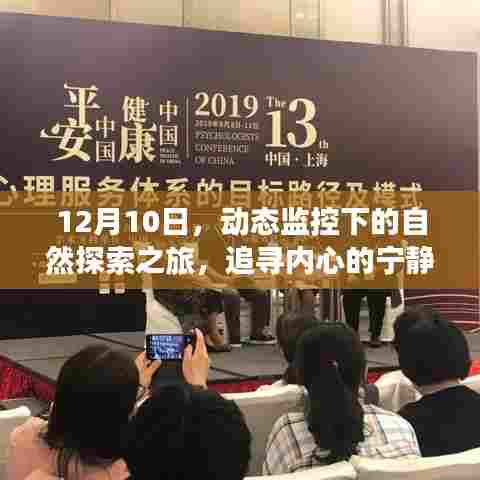 12月10日,动态监控下的自然探索之旅,探寻内心宁静与平和的旅程