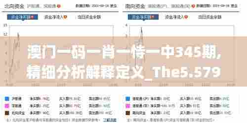 澳门一码一肖一恃一中345期,精细分析解释定义_The5.579