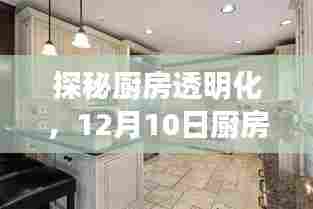 厨房透明化揭秘,实时监控展现魔力之旅,厨房与餐厅的联动体验日活动报道