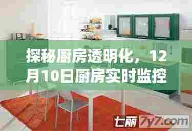 厨房透明化揭秘,实时监控展现魔力之旅,厨房与餐厅的联动体验日活动报道
