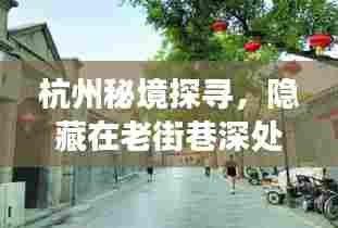 杭州老街巷深处的特色小店与公交奇妙之旅