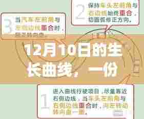 生长曲线与温馨记忆之旅，保存图解与回忆的交织