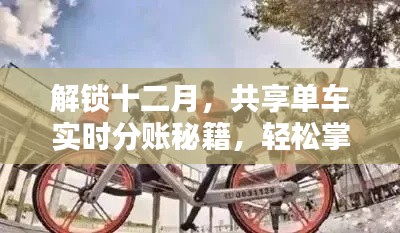 十二月共享单车分账秘籍,轻松掌握赚钱新姿势!
