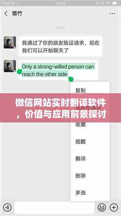 微信网站实时翻译软件,价值与应用前景深度探讨