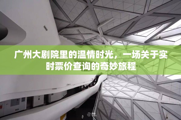 广州大剧院实时票价查询,温情时光下的奇妙旅程
