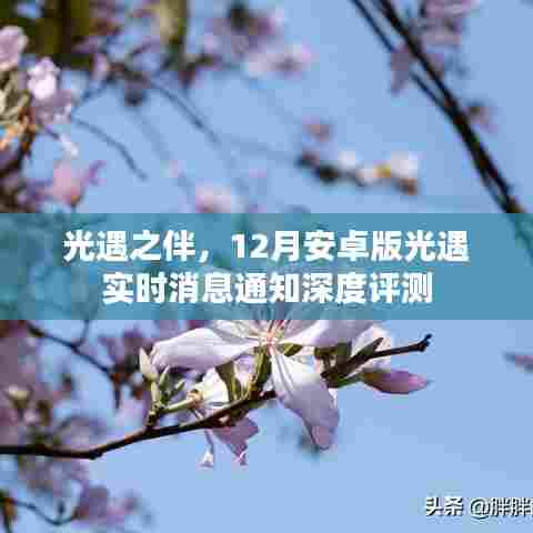 12月安卓版光遇实时消息通知深度评测,光遇之伴的陪伴体验