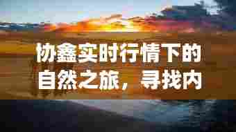 协鑫实时行情下的自然探索,追寻内心宁静与喜悦的旅程