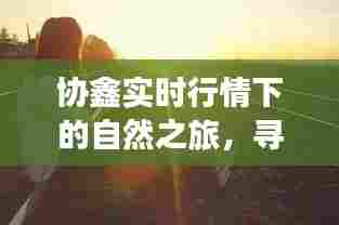 协鑫实时行情下的自然探索,追寻内心宁静与喜悦的旅程