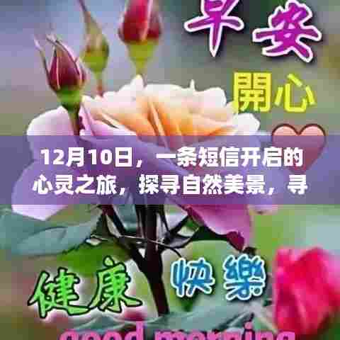 短信启航,心灵之旅探寻自然美景与内心平静