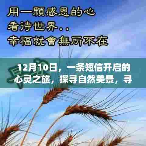 短信启航,心灵之旅探寻自然美景与内心平静