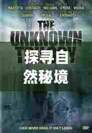 自然秘境探寻,电影的心灵之旅与梦想的启程之路