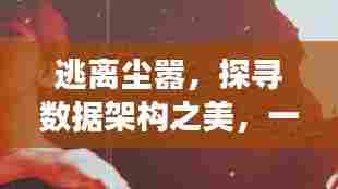 数据架构探寻之旅,心灵与自然和谐共舞,逃离尘嚣之美