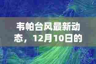 韦帕台风最新动态及实时报道与科普解析(12月10日更新)