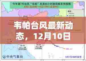 韦帕台风最新动态及实时报道与科普解析(12月10日更新)