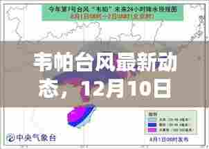 韦帕台风最新动态及实时报道与科普解析(12月10日更新)