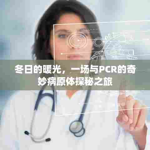 冬日的PCR病原体探秘之旅,暖光下的奇妙探秘