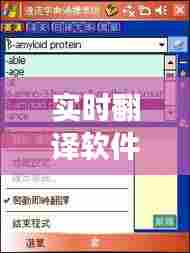 实时翻译软件的发展应用，利弊分析与观点阐述——以去年十二月十日为例