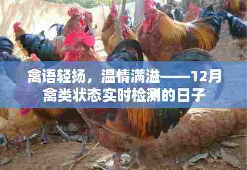 禽语轻扬,温情满溢——禽类实时检测记录温情时光