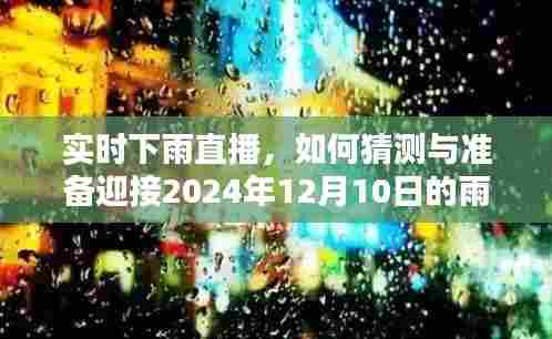 实时下雨直播,如何预测并准备迎接即将到来的雨幕(2024年12月10日)