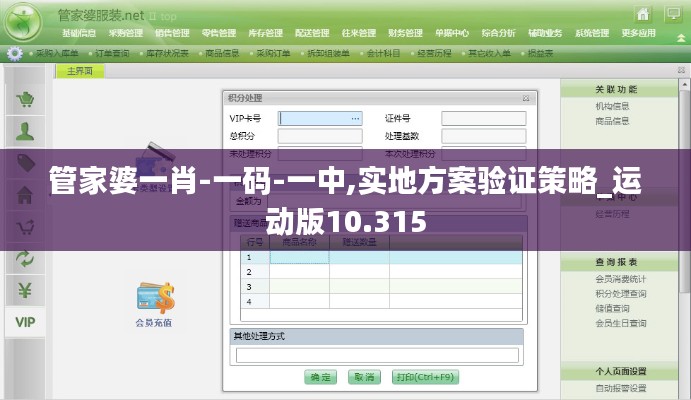 管家婆一肖-一码-一中,实地方案验证策略_运动版10.315