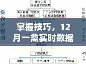 掌握技巧,12月一禽实时数据获取与分析的全面步骤指南