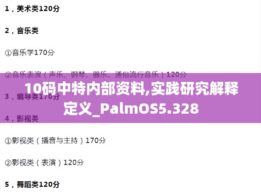 10码中特内部资料,实践研究解释定义_PalmOS5.328