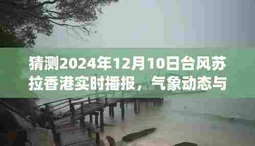 香港台风苏拉实时播报,气象动态与影响分析(预测日期,2024年12月10日)