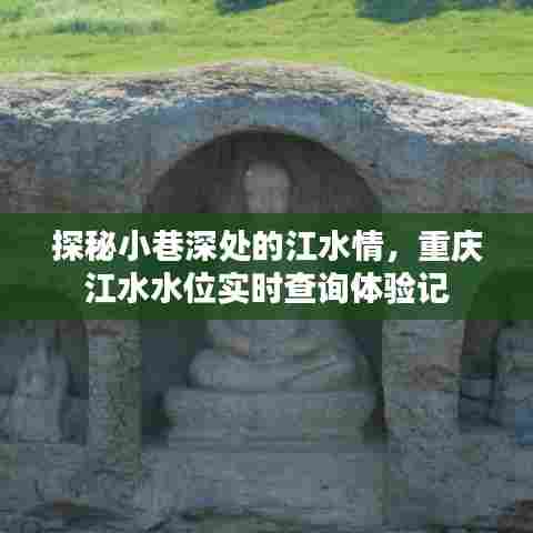 重庆小巷深处的江水情,实时水位查询深度体验记
