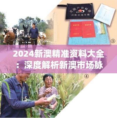 2024新澳精准资料大全:深度解析新澳市场脉动