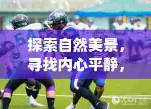 自然探索与心灵之旅,橄榄球的奇妙旅程预测至未来