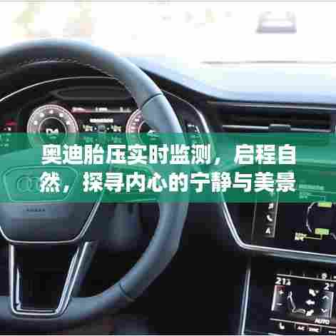 奥迪胎压实时监测,启程探寻心景交融之旅