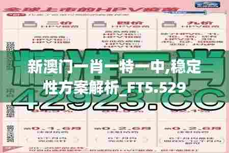 新澳门一肖一特一中,稳定性方案解析_FT5.529