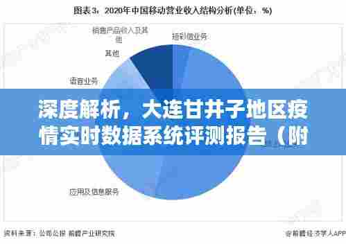 大连甘井子地区疫情实时数据系统深度解析与用户群体分析报告