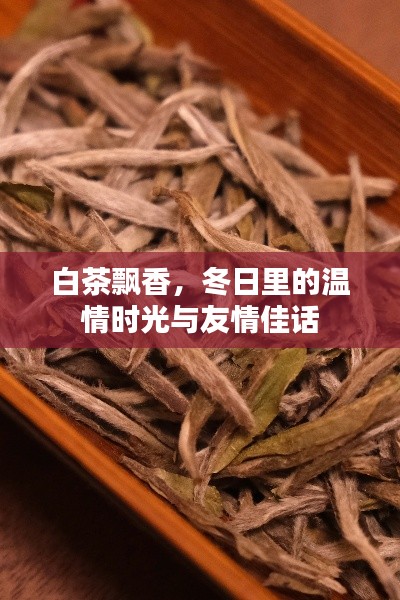 白茶飘香,冬日温情时光里的友情佳话