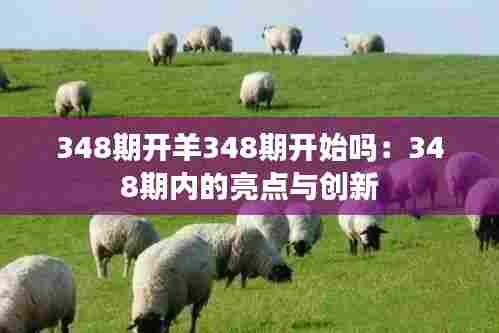 348期开羊348期开始吗:348期内的亮点与创新
