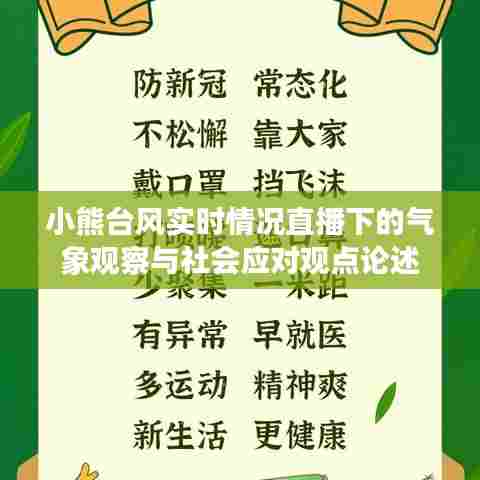 小熊台风实时直播观察,气象变化与社会应对策略分析