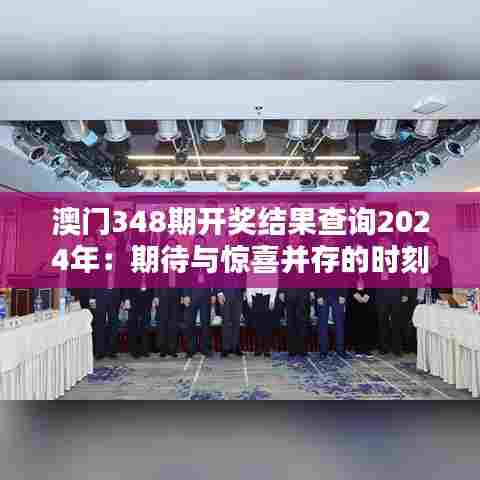 澳门348期开奖结果查询2024年:期待与惊喜并存的时刻