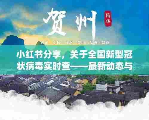 小红书分享,全国新型冠状病毒实时查最新动态与解读