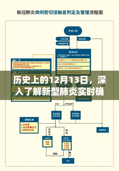历史上的重要日子,新型肺炎实时确诊流程指南深度解析